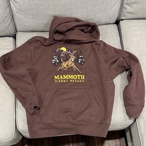 Old Navy Brown Graphic Hoodie